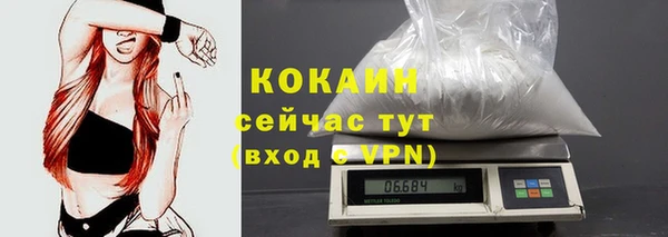 винт Гусиноозёрск