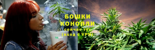 винт Гусиноозёрск