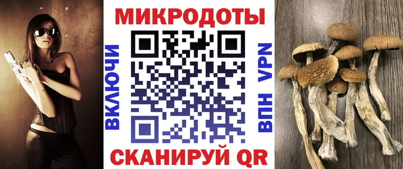 Псилоцибиновые грибы Magic Shrooms  купить наркотики сайты  Ессентукская 